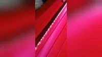 Waterproof Submersible LED Aquarium Lights for Arowanas 60cm 