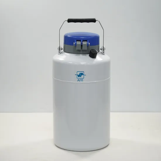 Ln2 10L Liquid Nitrogen Tank Low Temperature Cryo Storage Tank for Frozen Chemical Samples 