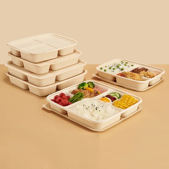 Food Takeaway Chicken Serving Biodegradable 3 Compartment Lunch Box 