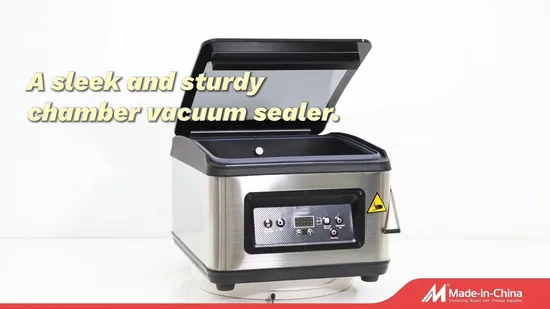 Small Chamber Vacuum Sealer for Home Use 